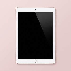 Used iPad 6th Generation Rose Gold 32 GB